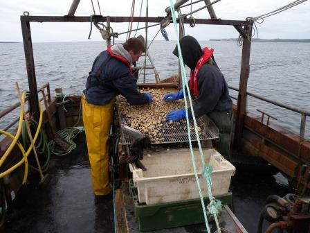 Fishermen at Work